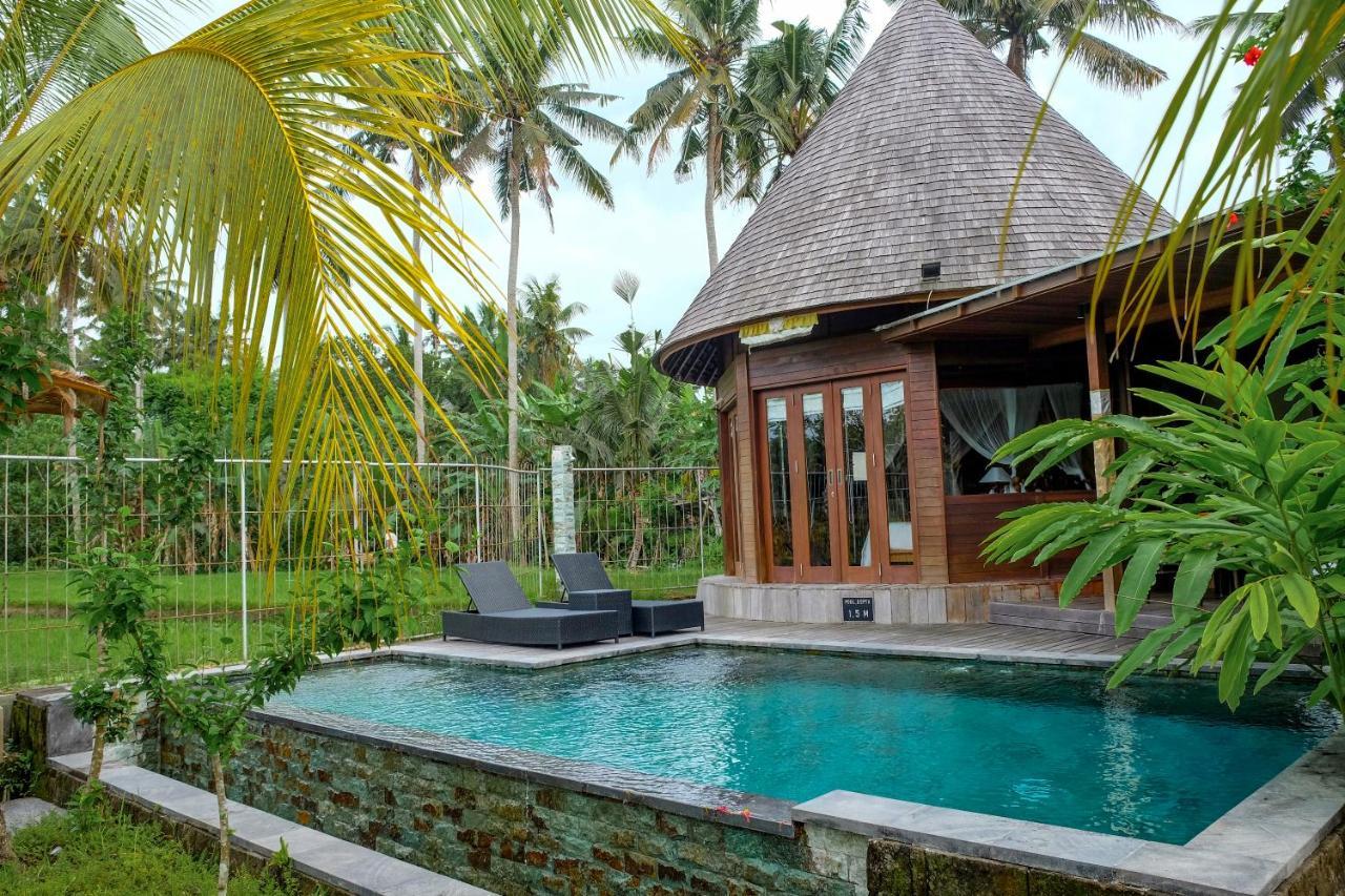 Field Ubud